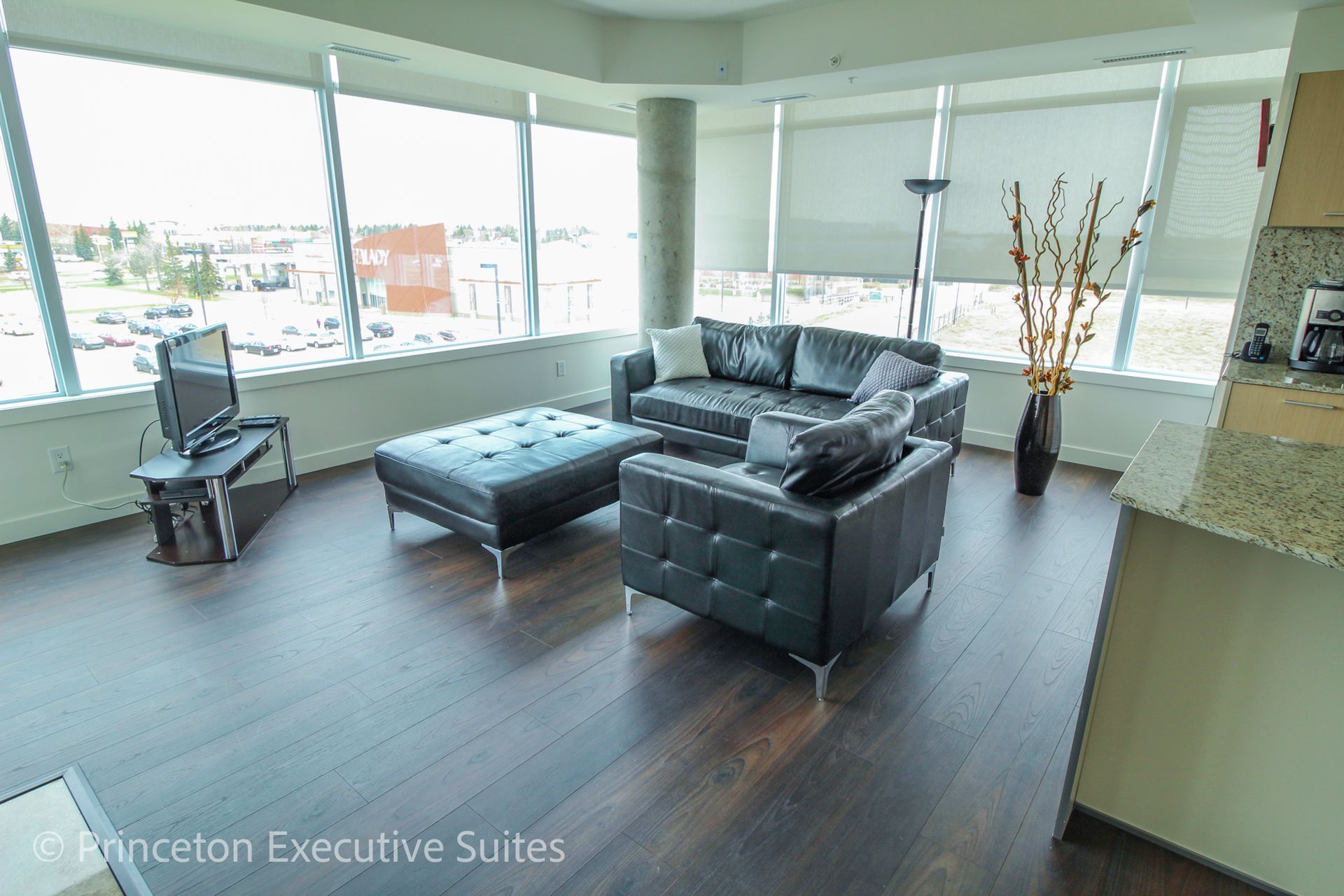 Modern living room with dark furniture, large windows, and city view.