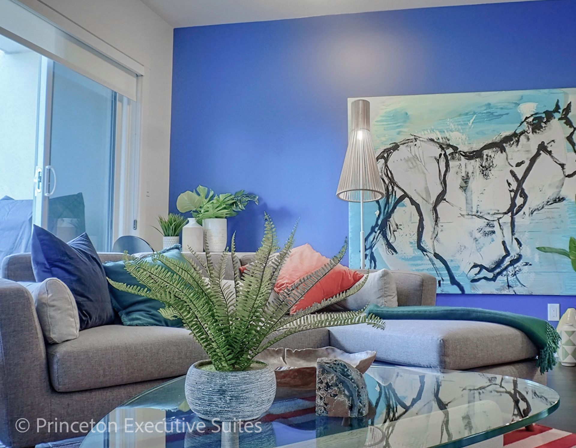 Living room with blue accent wall, gray sofa, art, and plants.