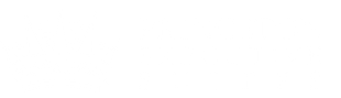princeton executive suites logo