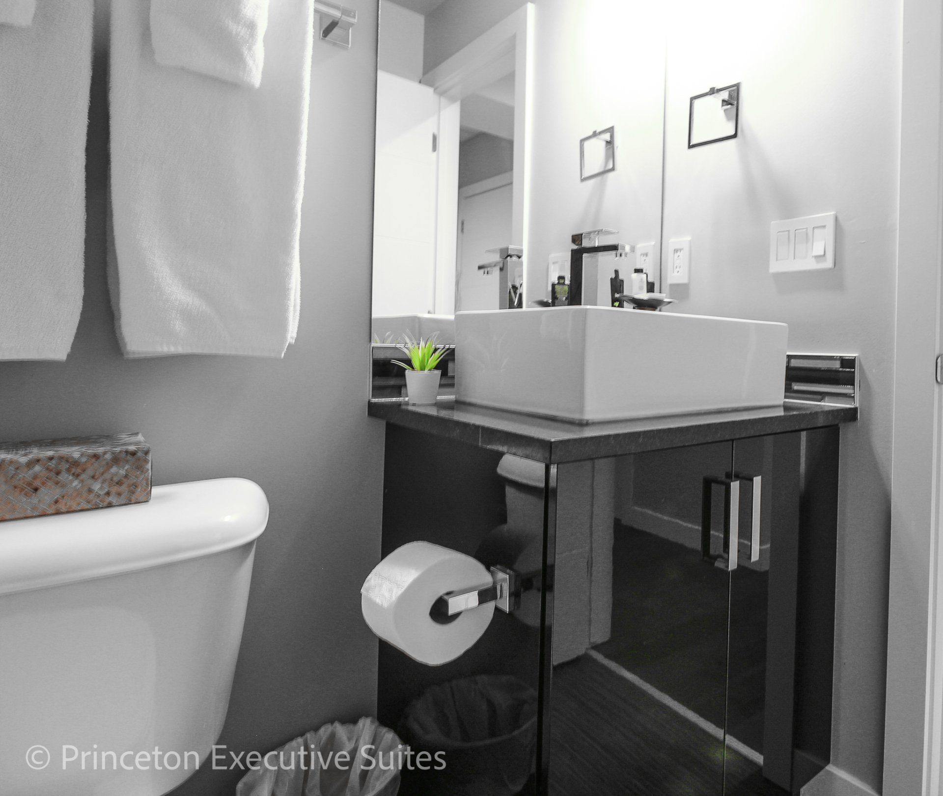 Bathroom of a Edmonton furnished condo with raised sink and black cabinets