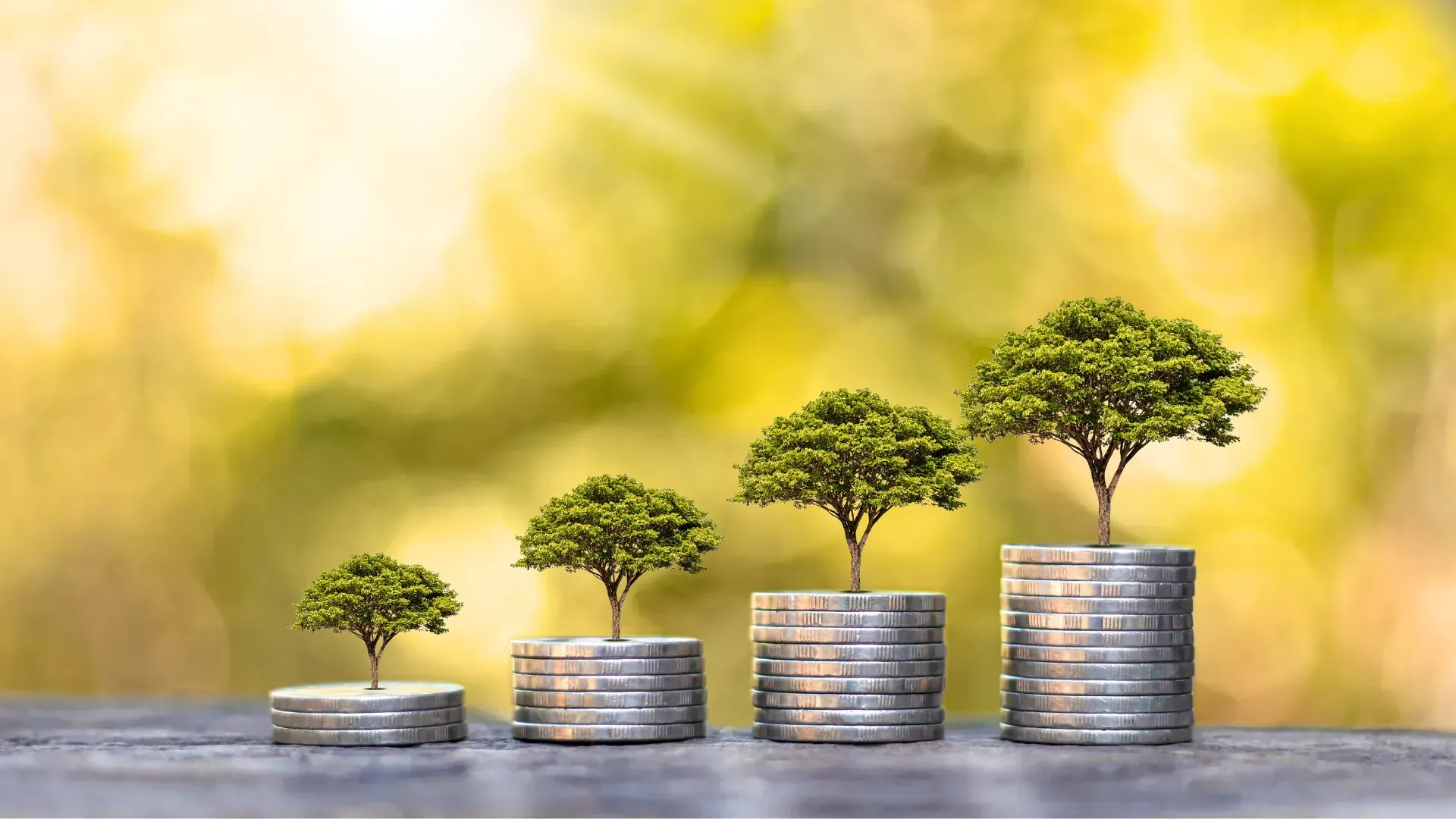 A stack of coins with trees growing out of them.