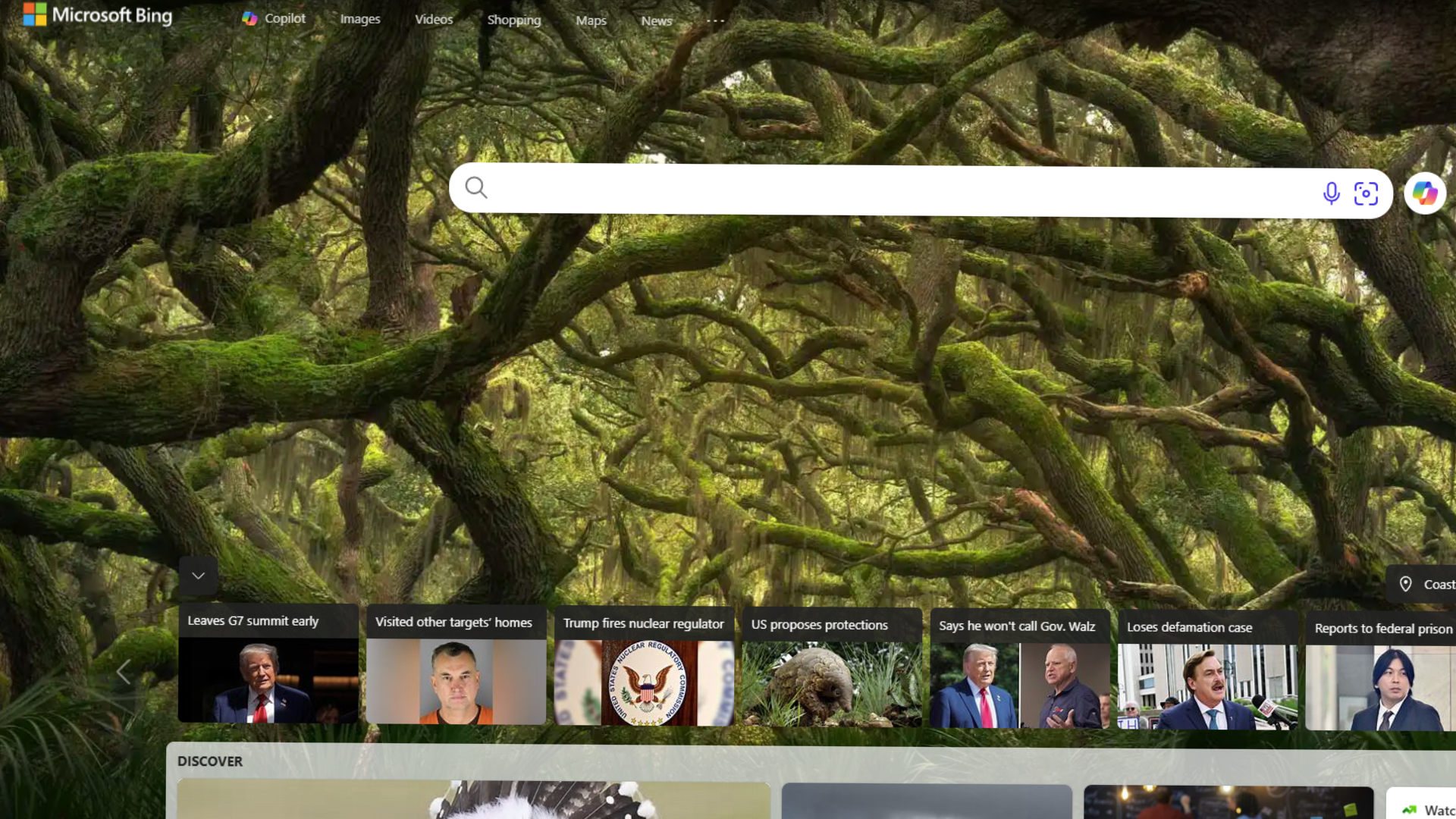 A screenshot of a google search page with a tree in the background.
