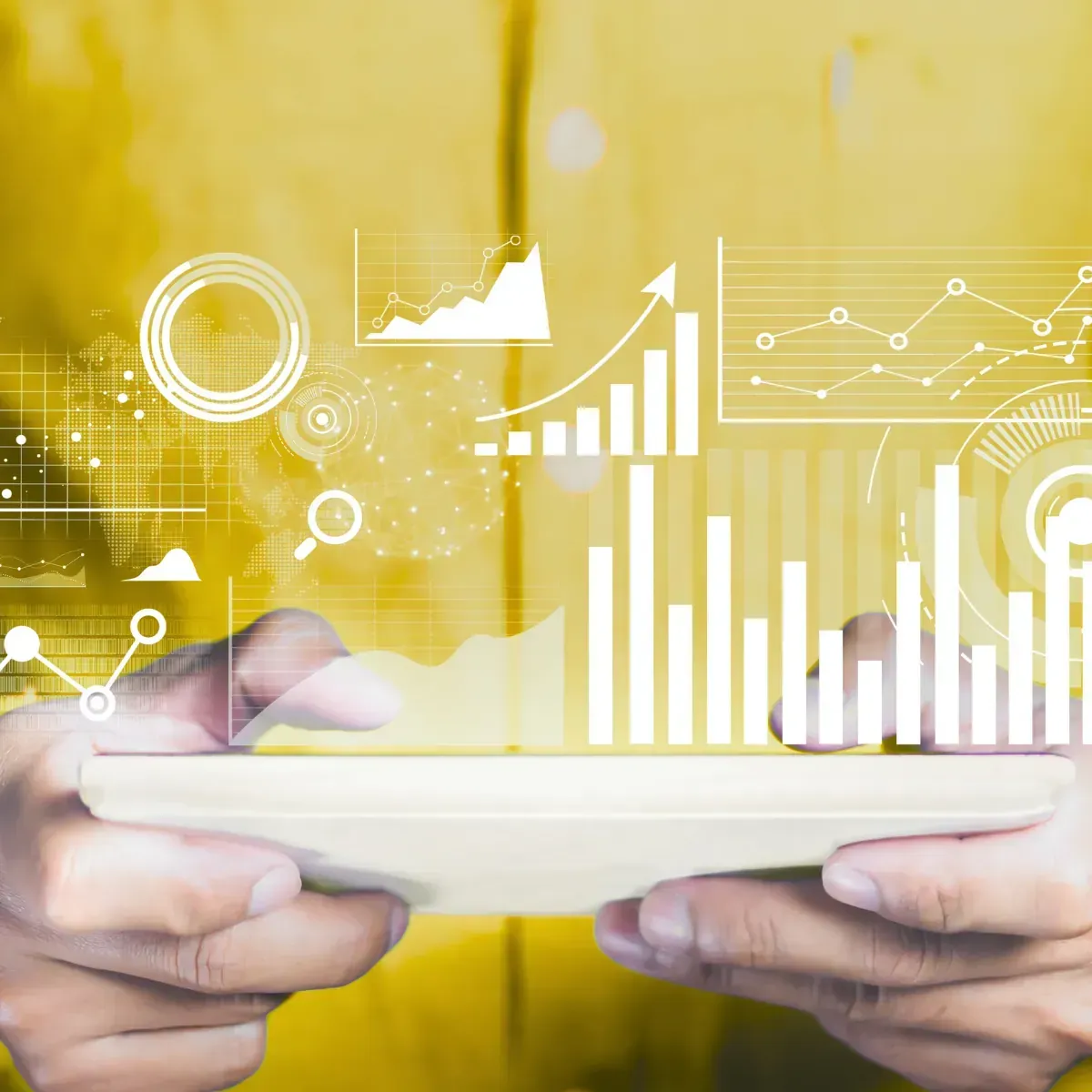 Audience and targeting data for a pre-roll campaign