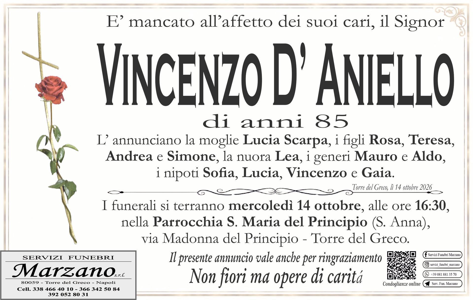 Vincenzo D' Aniello