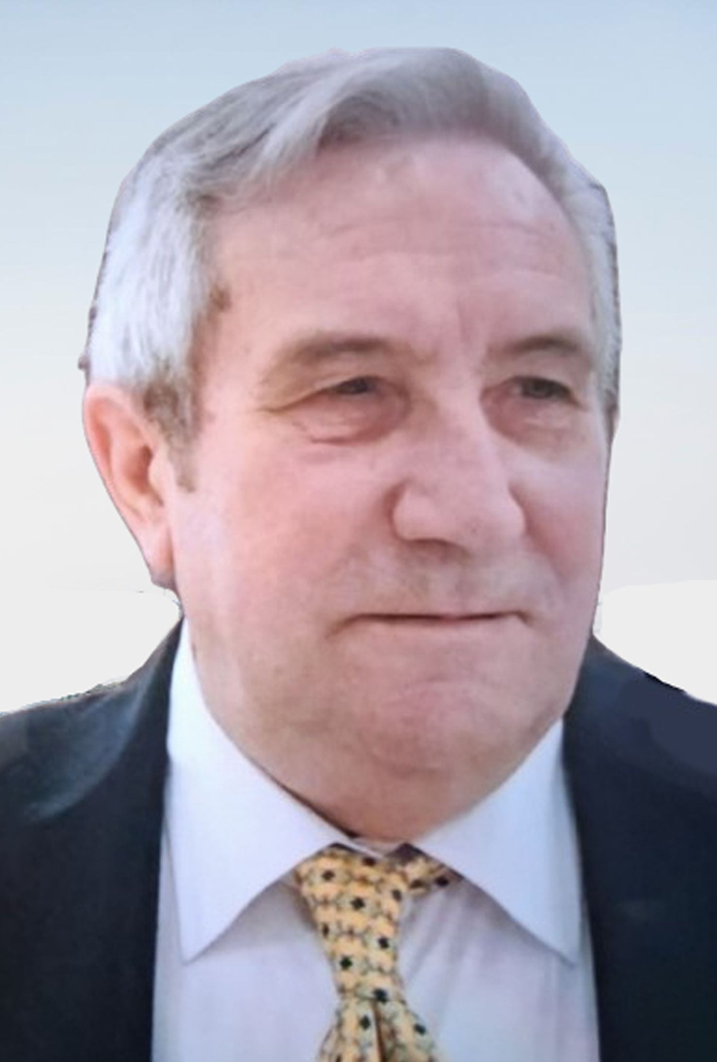 Avv. Vincenzo Molettieri