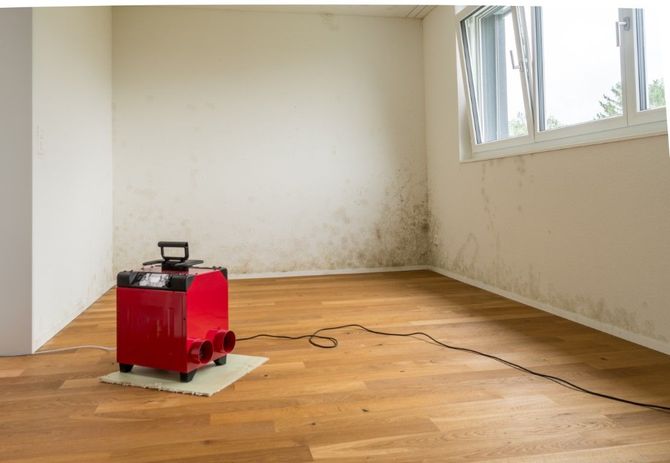 Red carpet cleaner on a wooden floor in an empty room with white walls and windows.