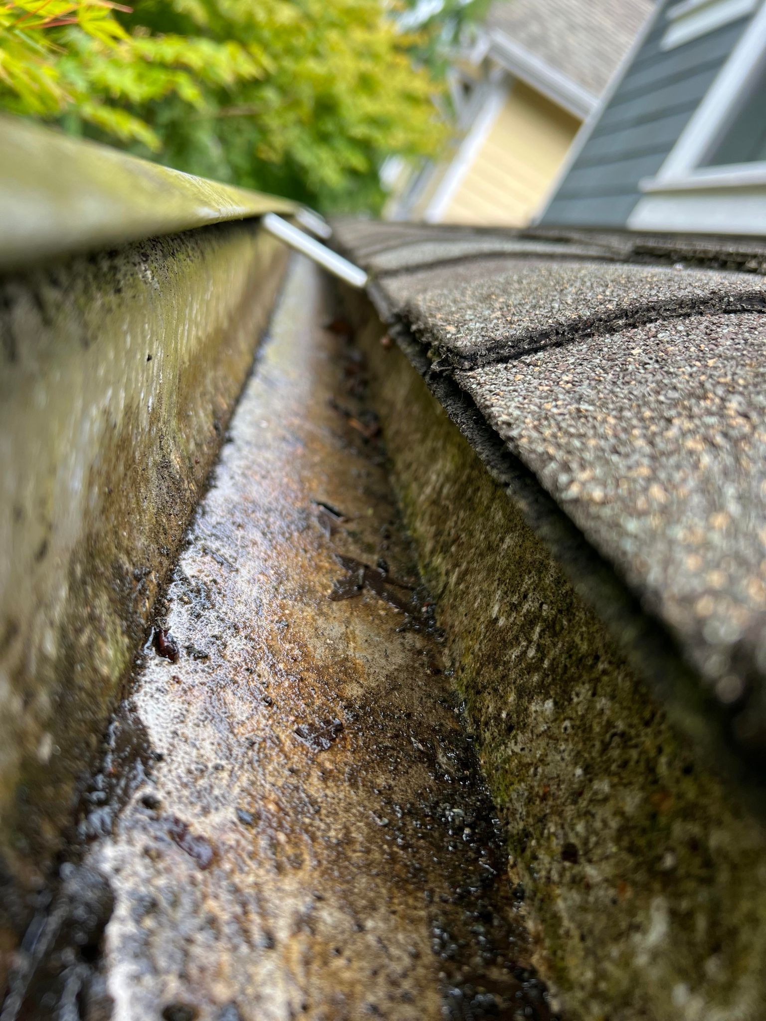 Gutter Cleaning