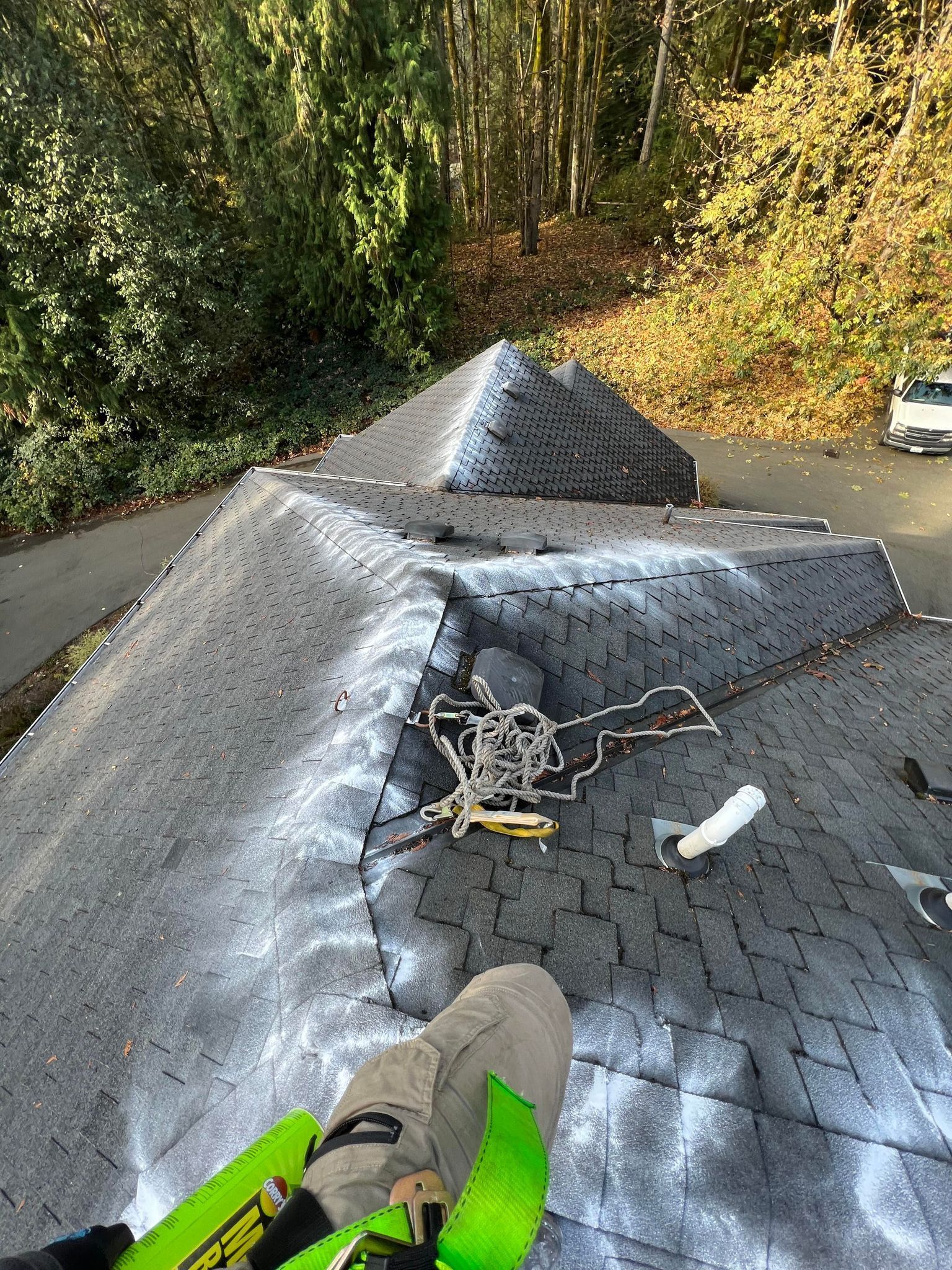 Moss Removal and Zinc Sulfate