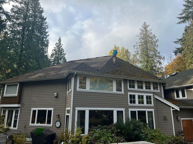 Roof Cleaning