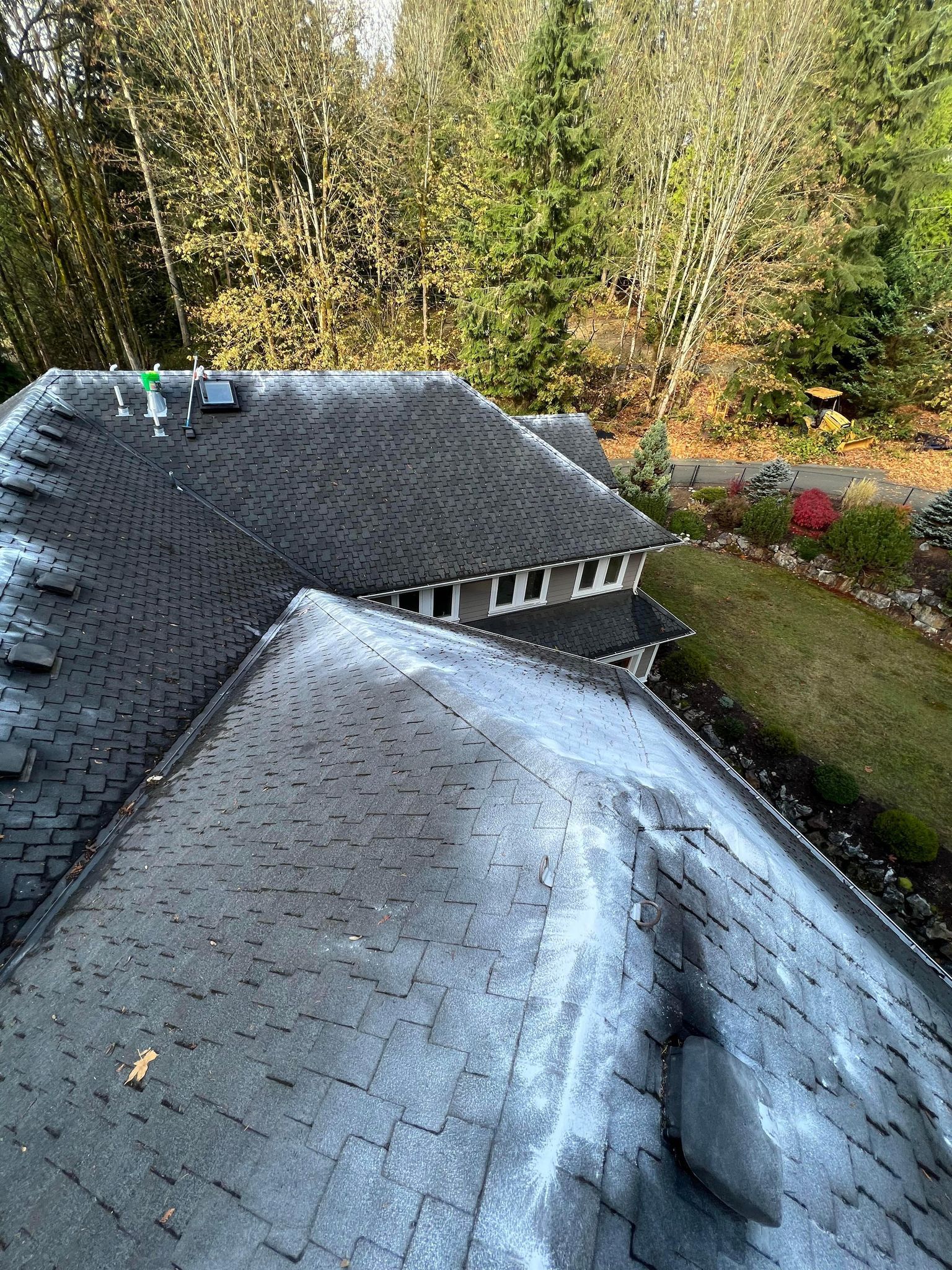 Moss Removal and Zinc Sulfate