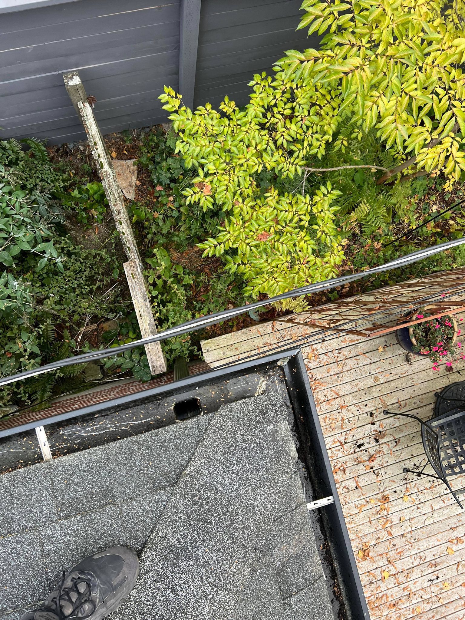 Gutter Cleaning