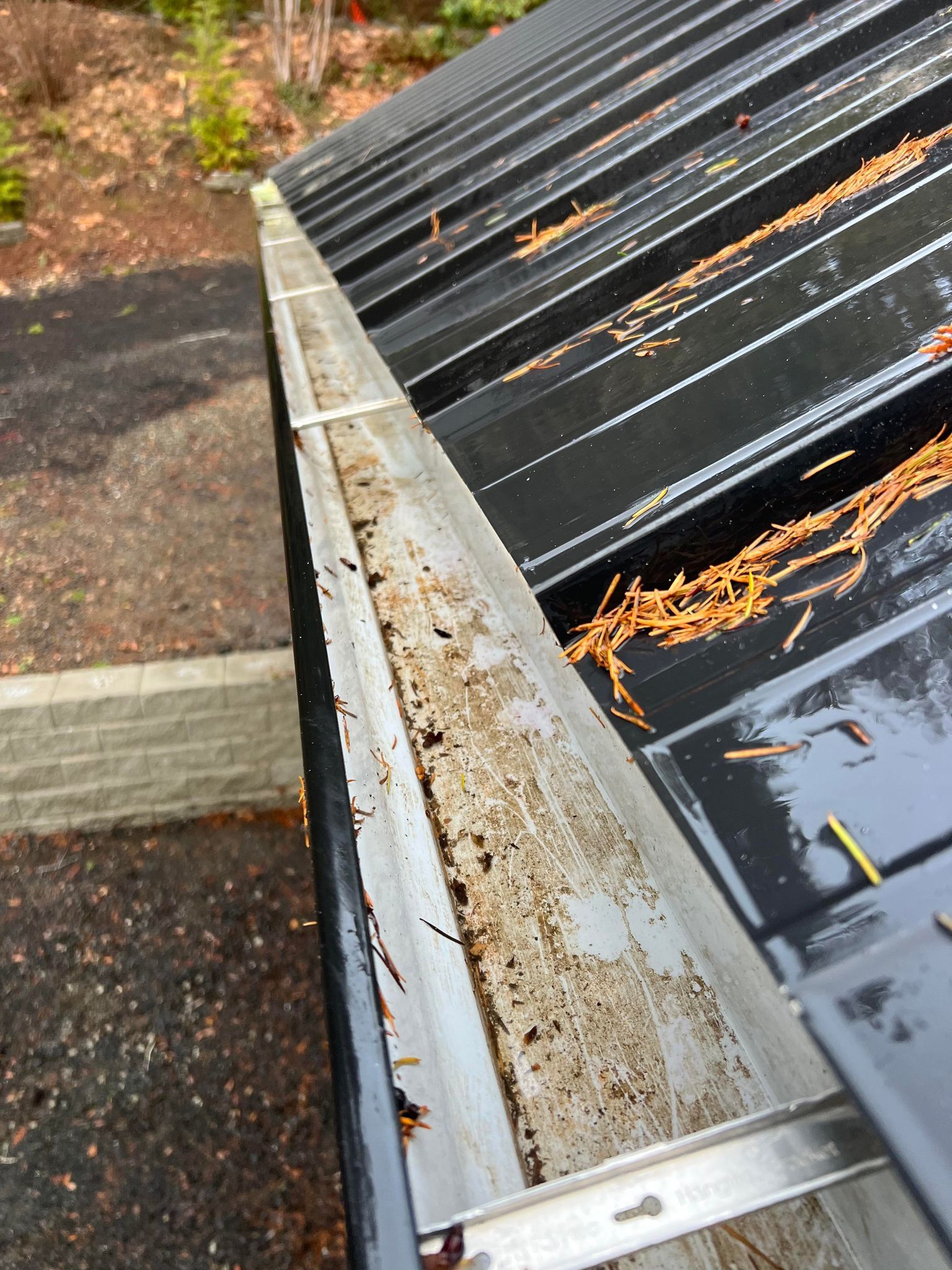 A close up of a gutter on a roof with leaves on it.