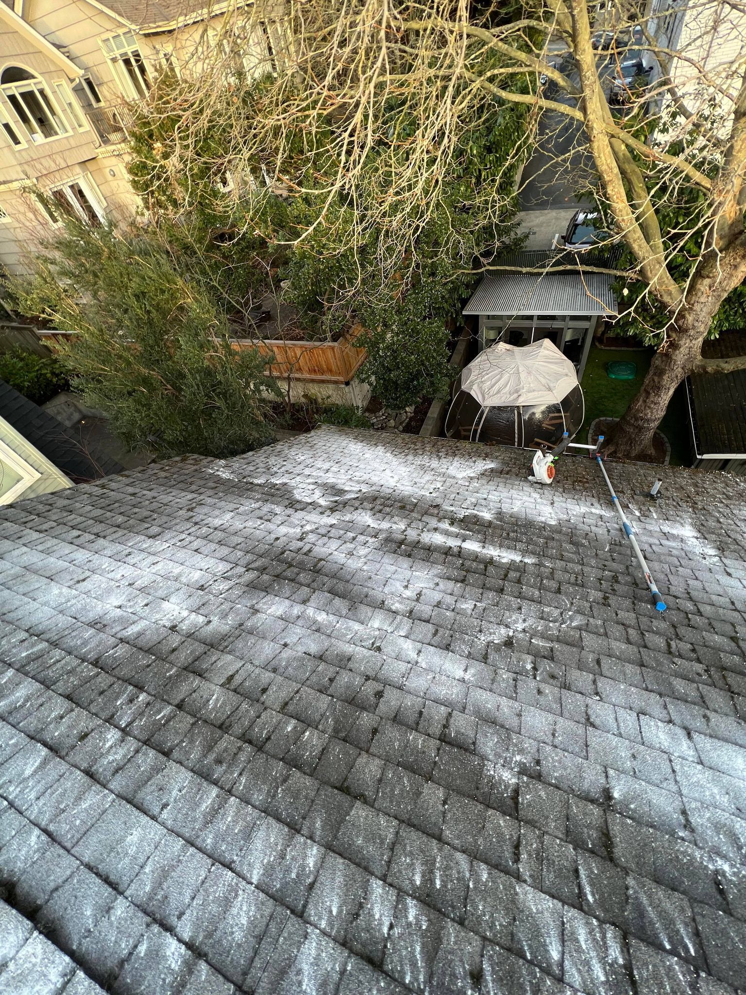Moss Removal and Zinc Sulfate