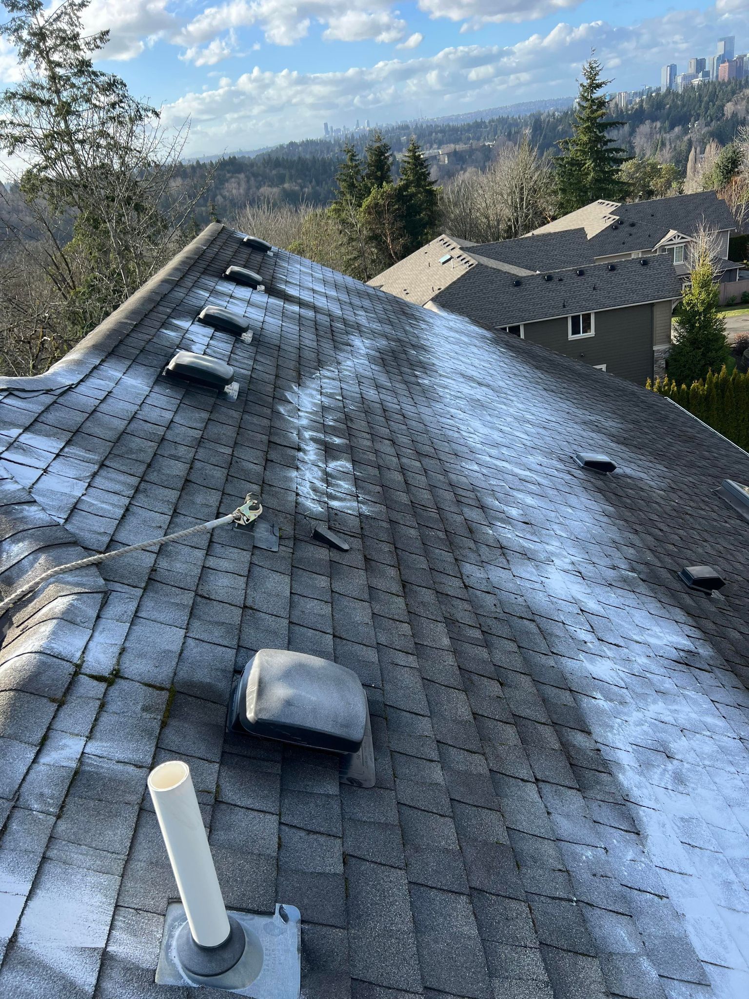 Moss Cleaning