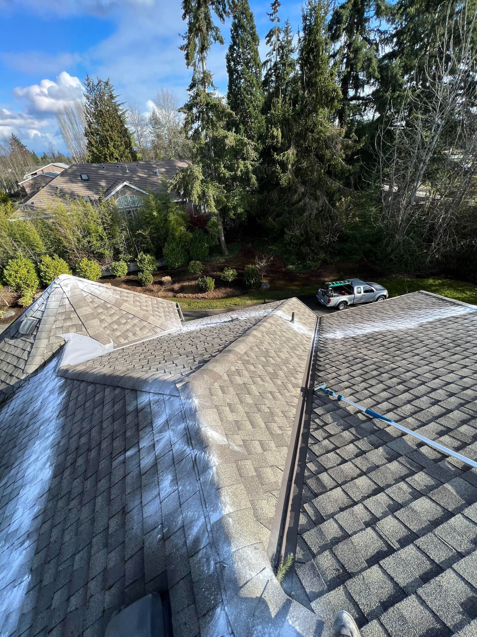 Moss Cleaning