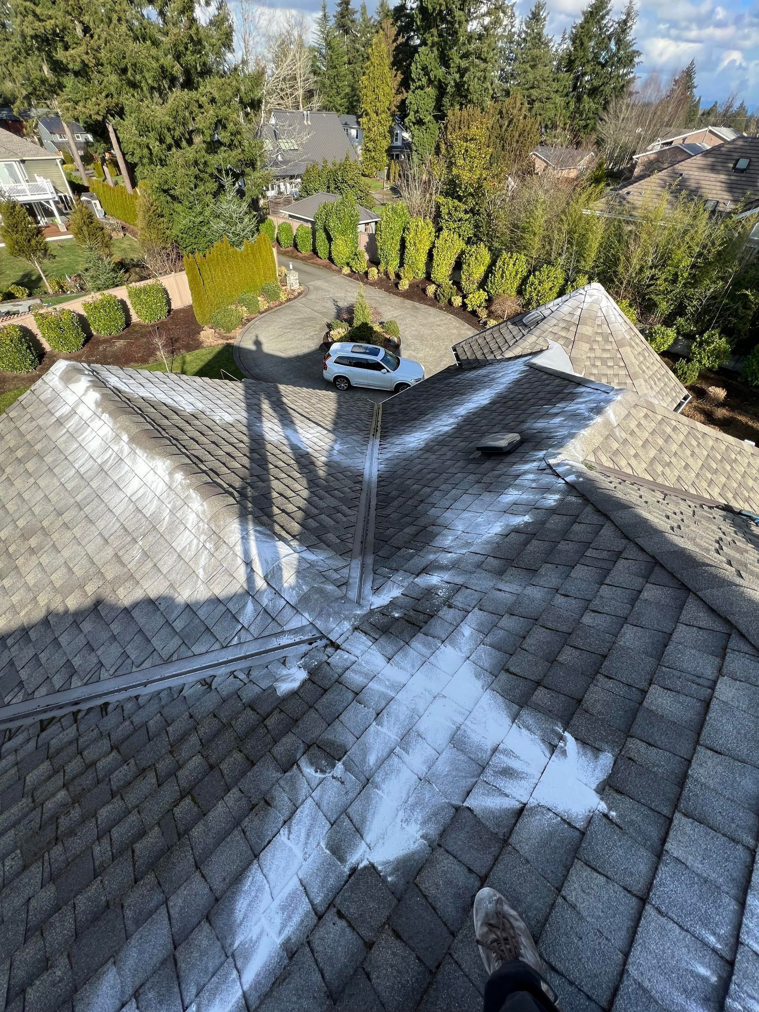 Moss Cleaning