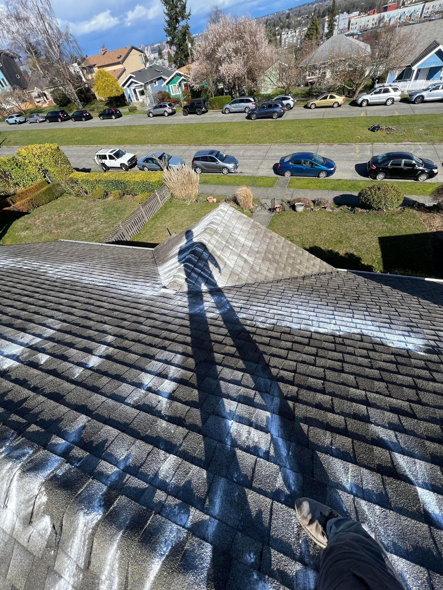 Moss Cleaning