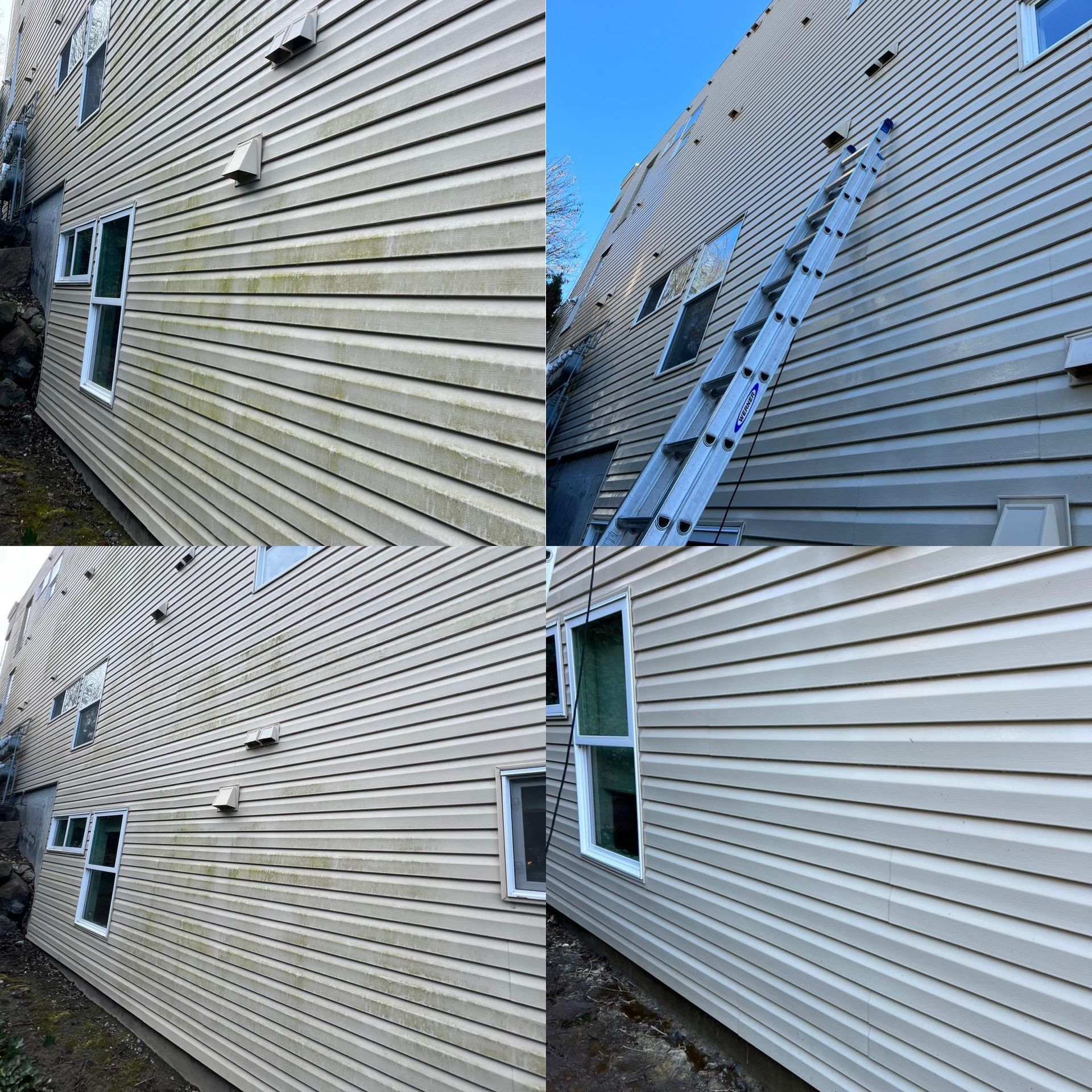 Soft Washing houses 