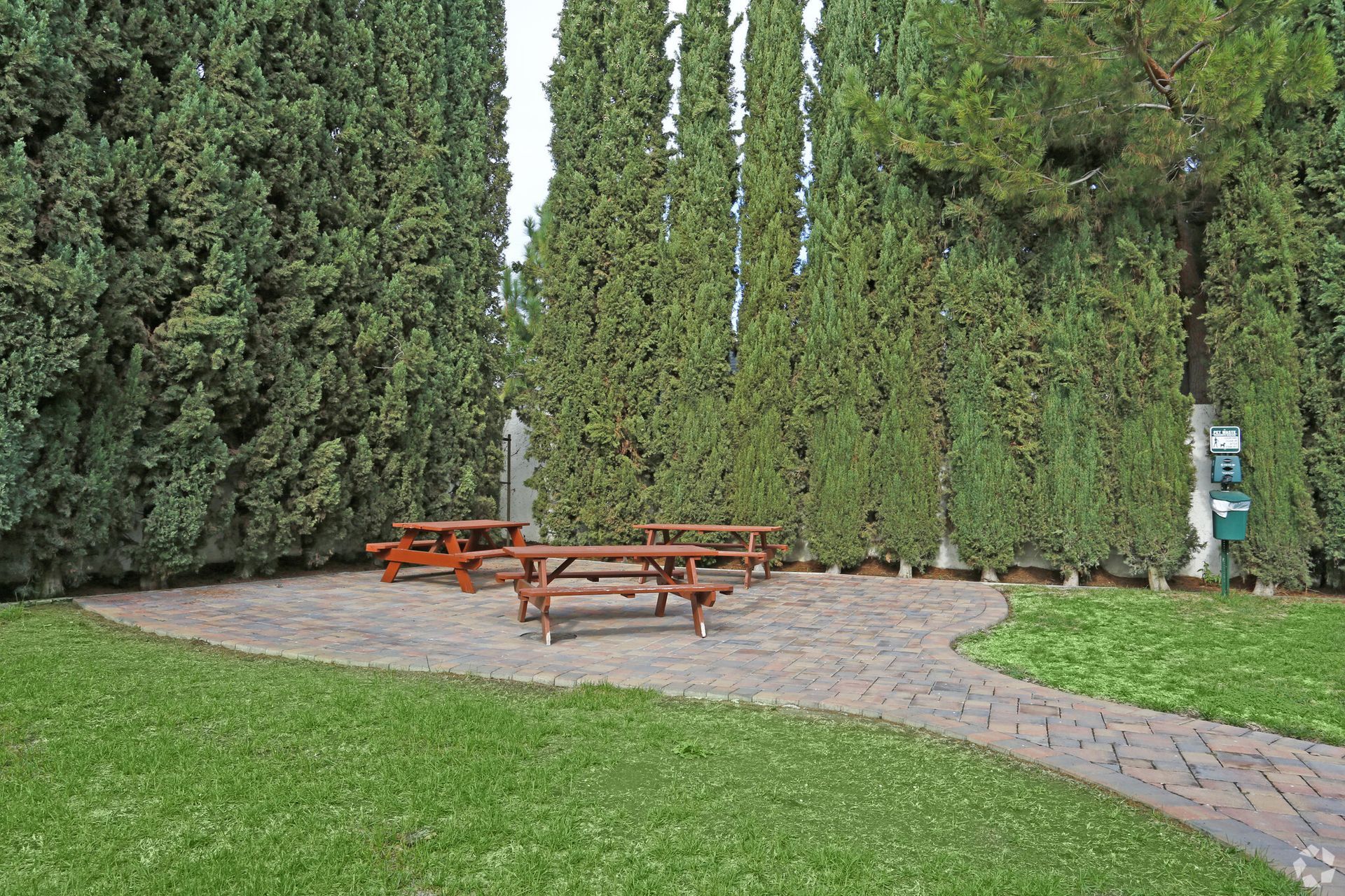 A group of wooden picnic tables in a park surrounded by trees.