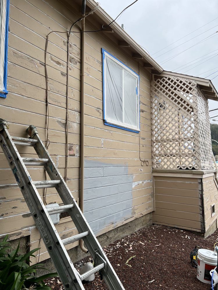 Ladder leaning against a house being painted; beige siding with gray primer patch and window.