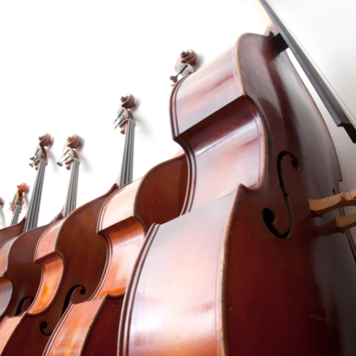 Bass Lessons | Music School | Best Music Lessons | Sacramento | California | Elk Grove | Citrus Heights | Laguna