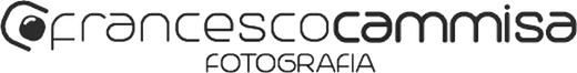 logo francesco cammisa