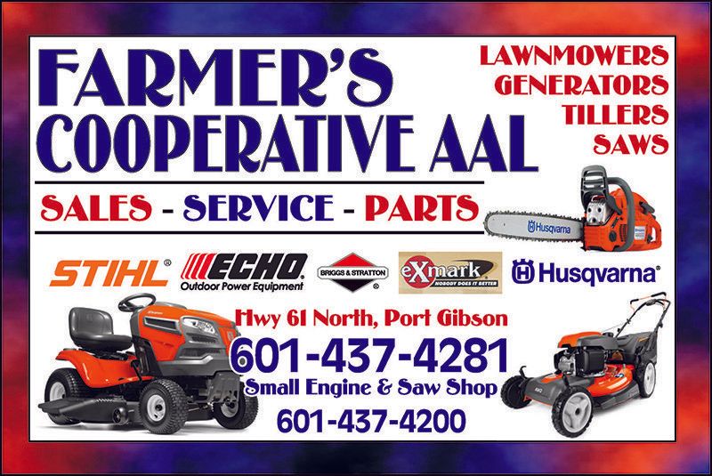 small engine parts, sales, repairs