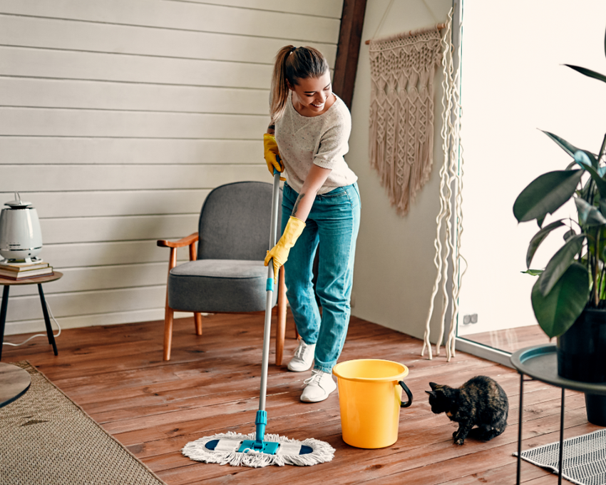 home cleaning services