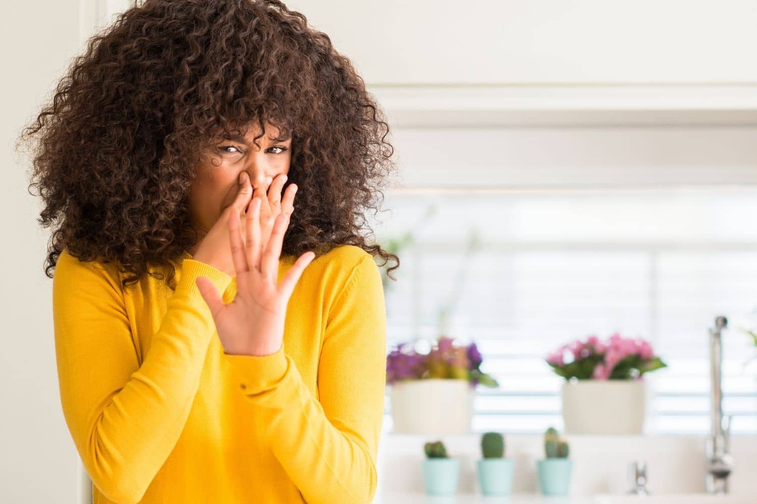 Odor Removal Services