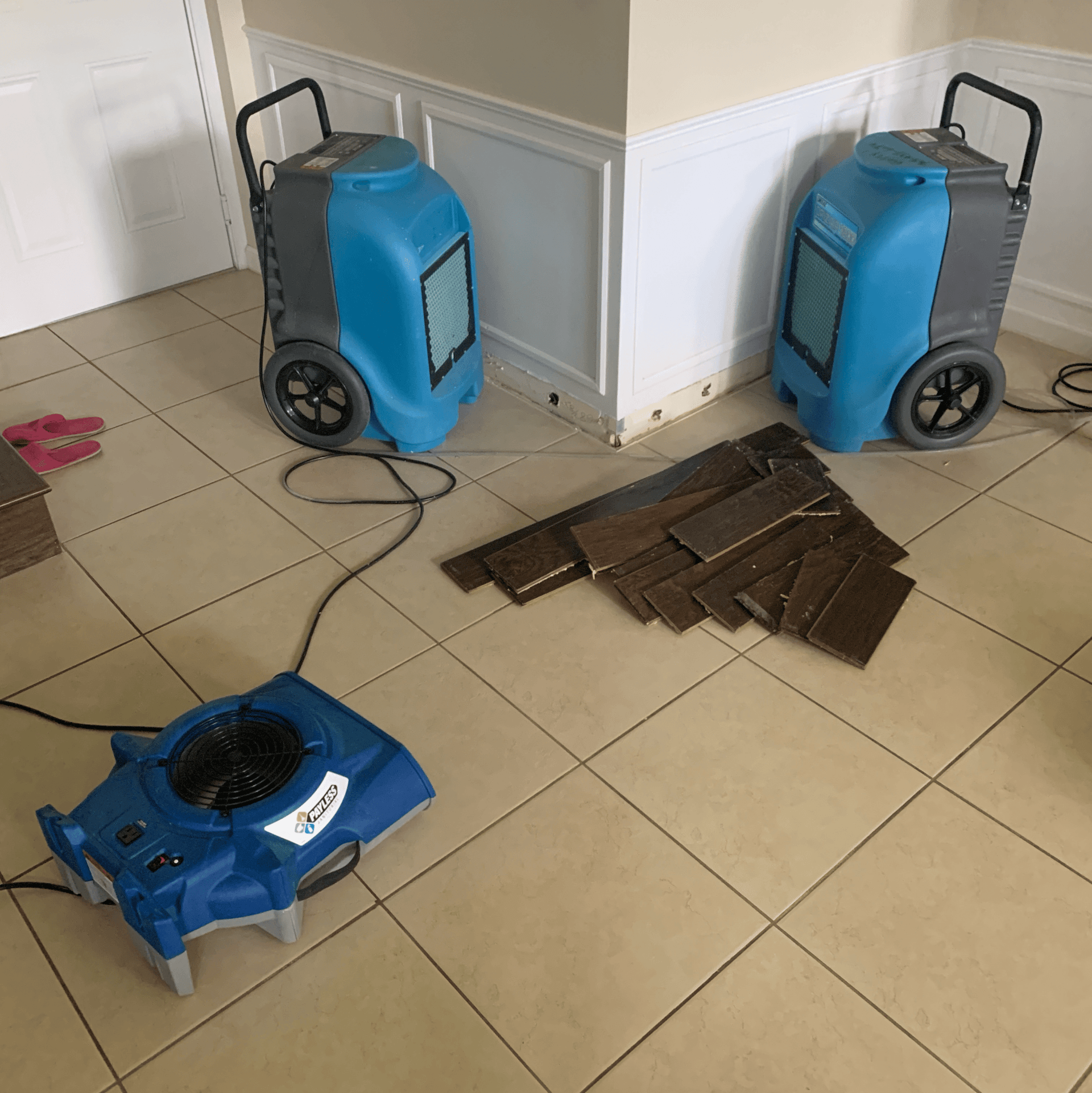 commercial dehumidifiers and air mover equipment being used by the best water damage restoration company in south florida