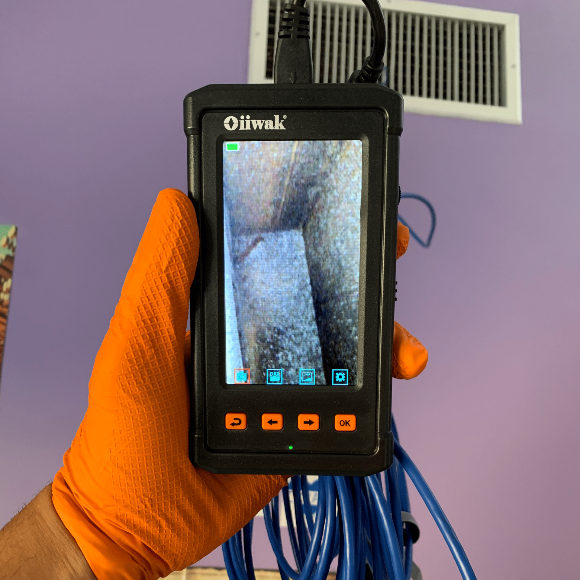 mold inspection testing