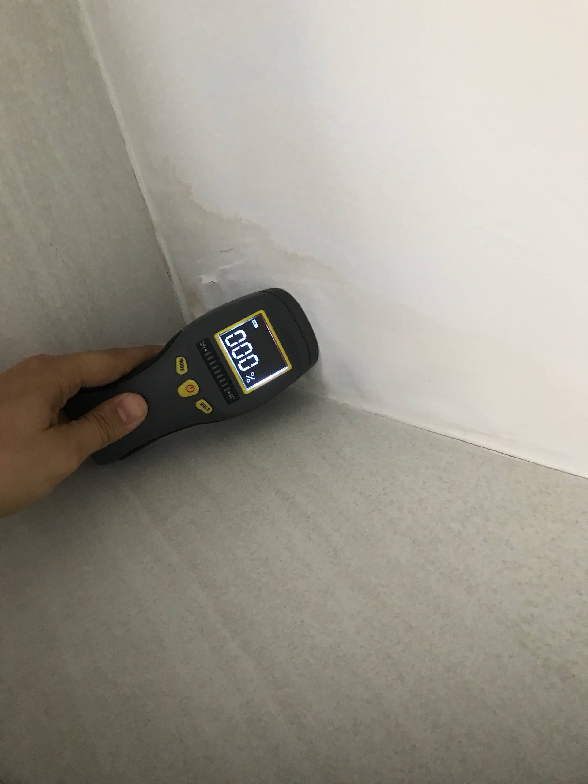 mold inspection testing