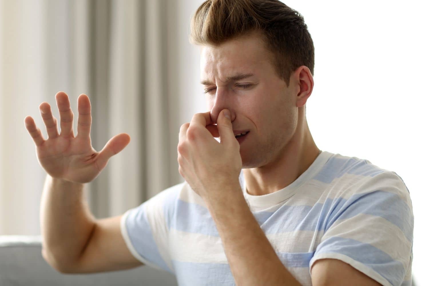 Odor Removal Near Me