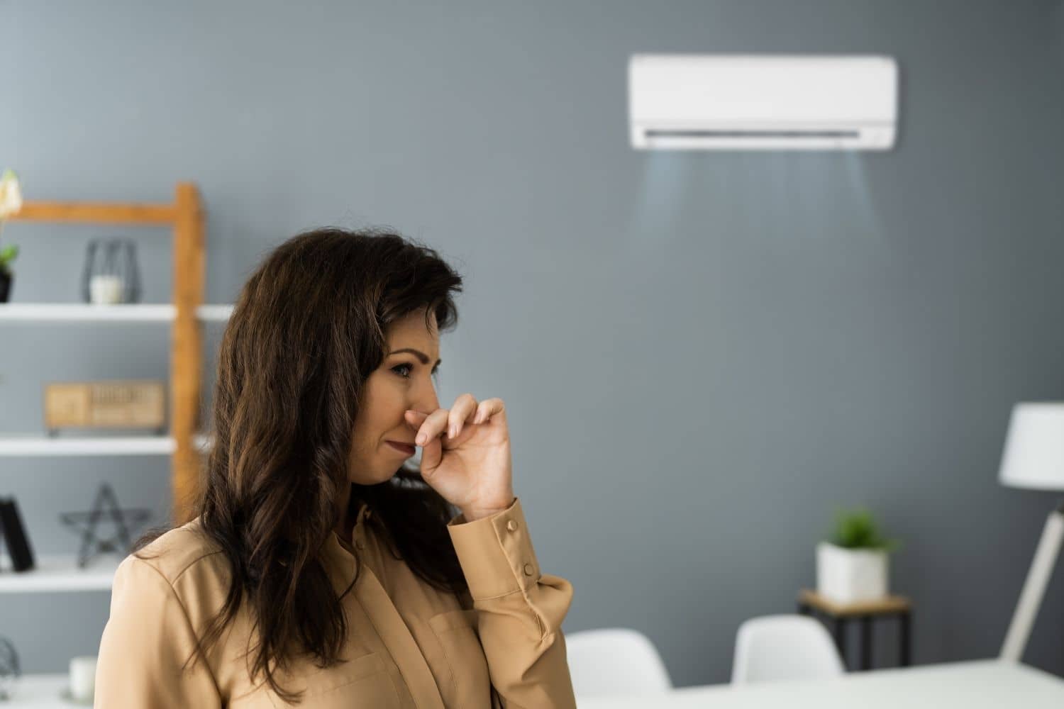 Odor Removal Company