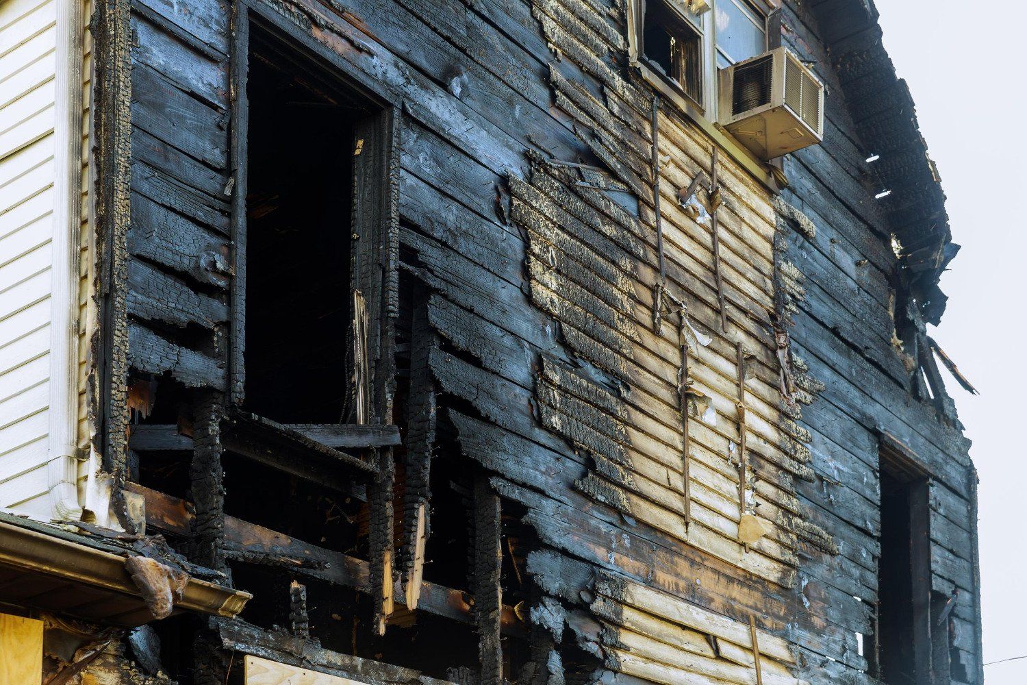mold testing near me