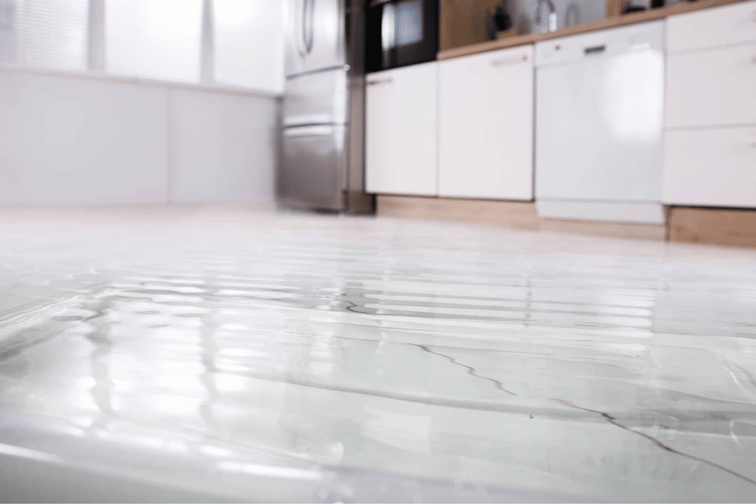 flood damage restoration contractor