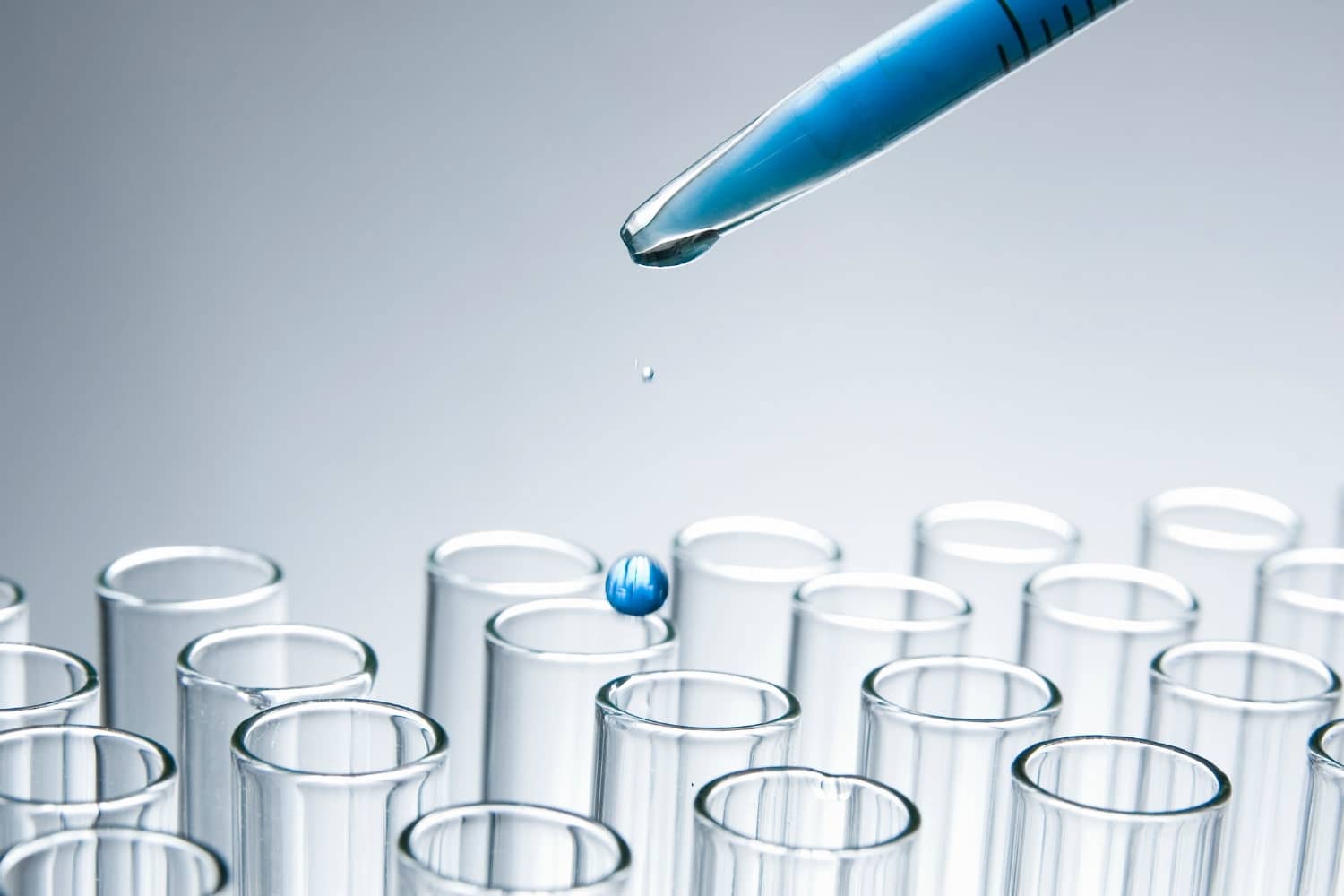 mold testing samples