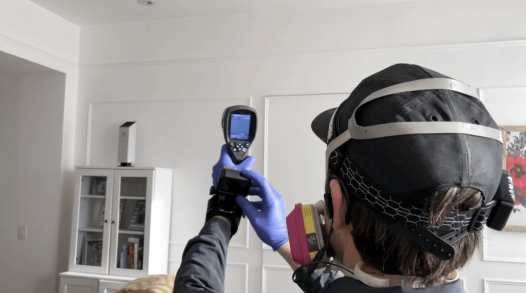 mold testing