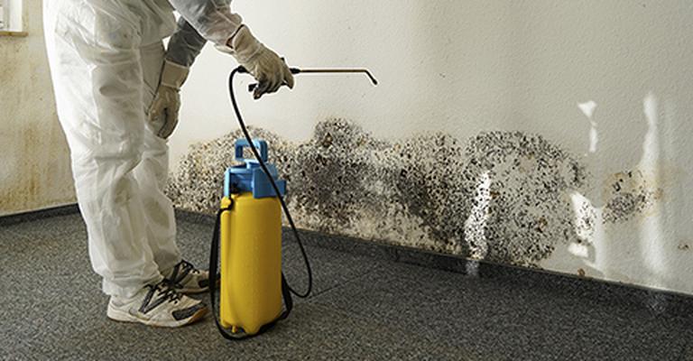 cleaning services