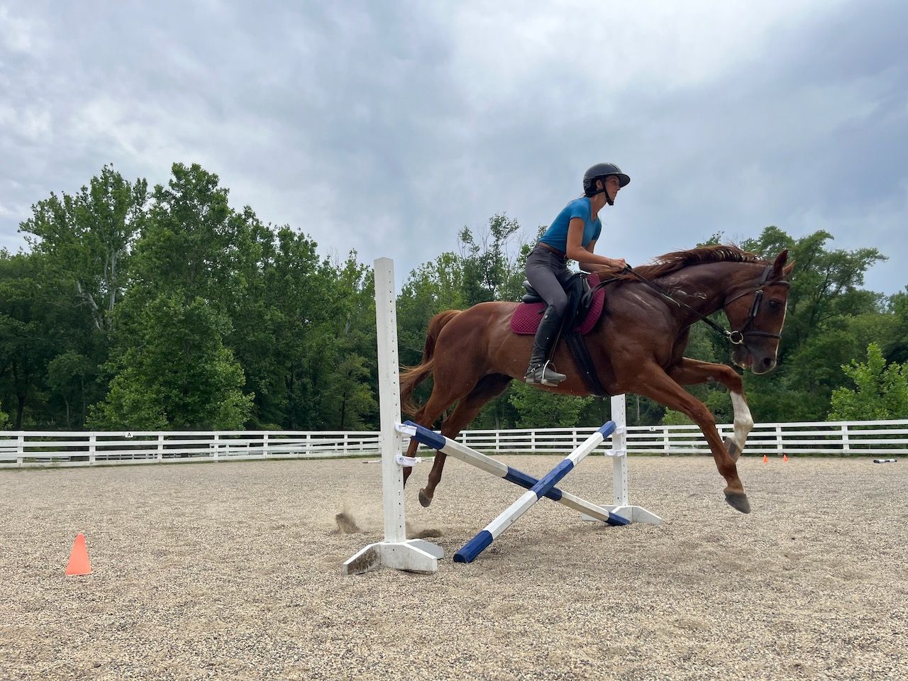 Adult rider during lessons with instructor