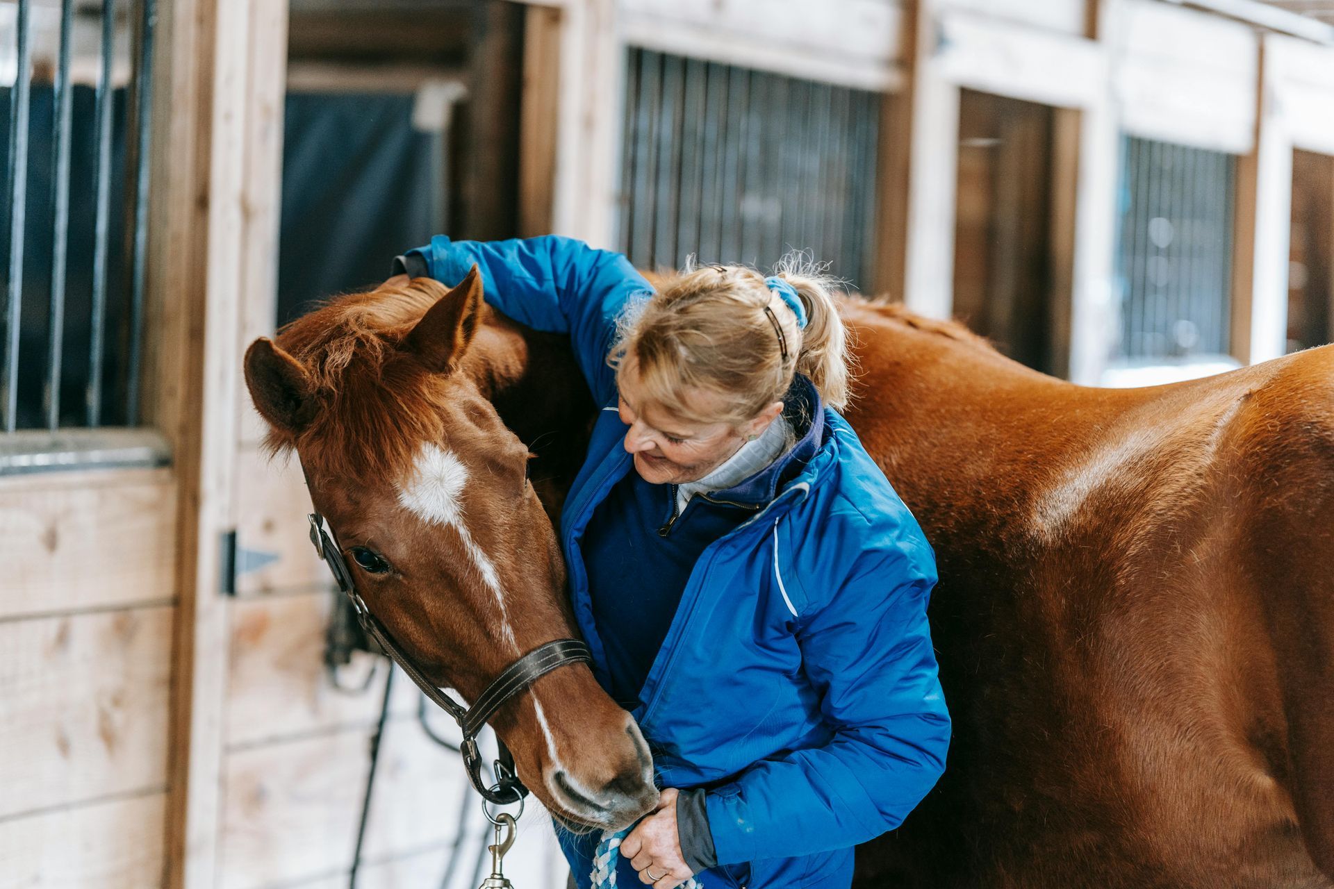 Student grooming and loving on horse