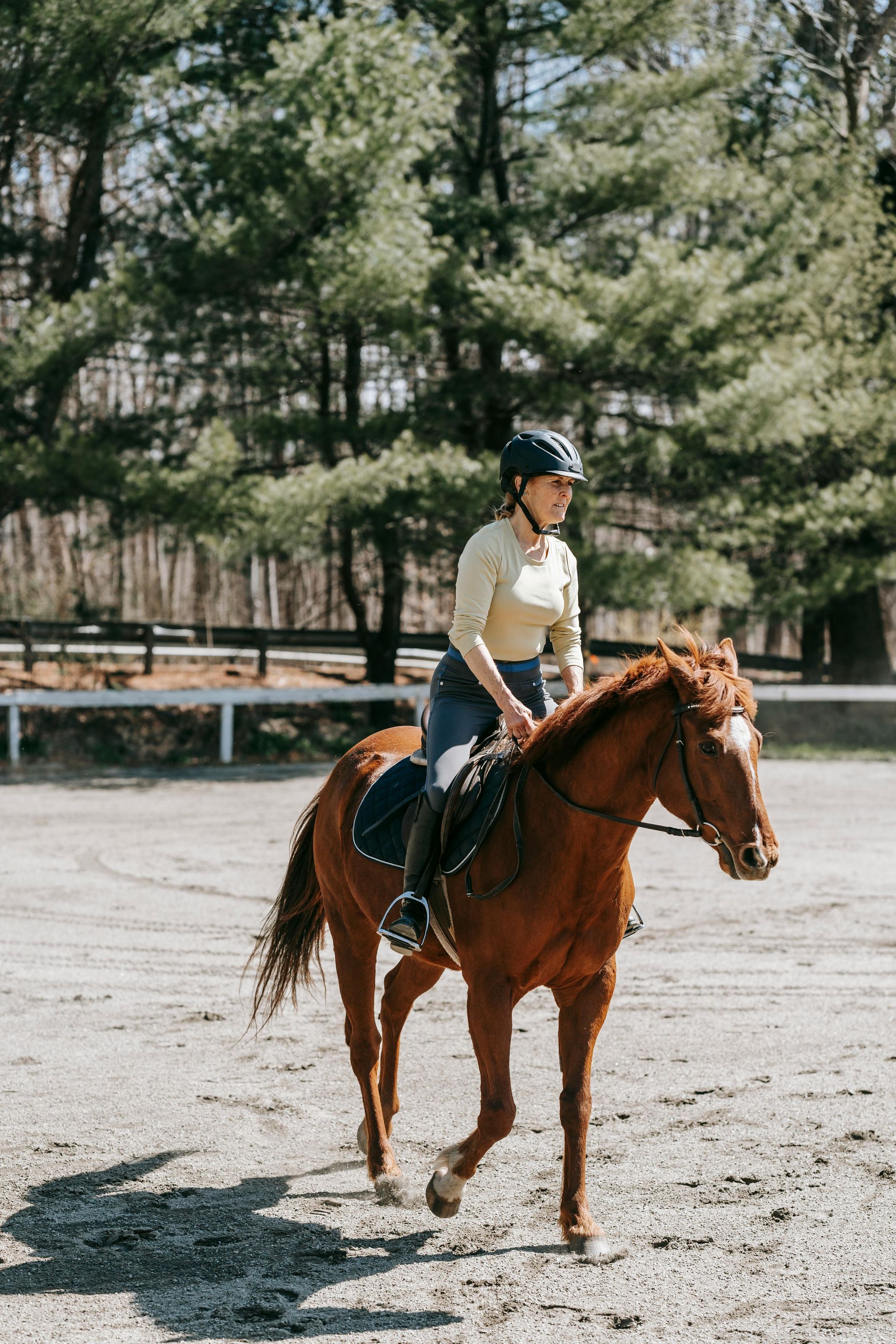 Adult rider during lessons with instructor