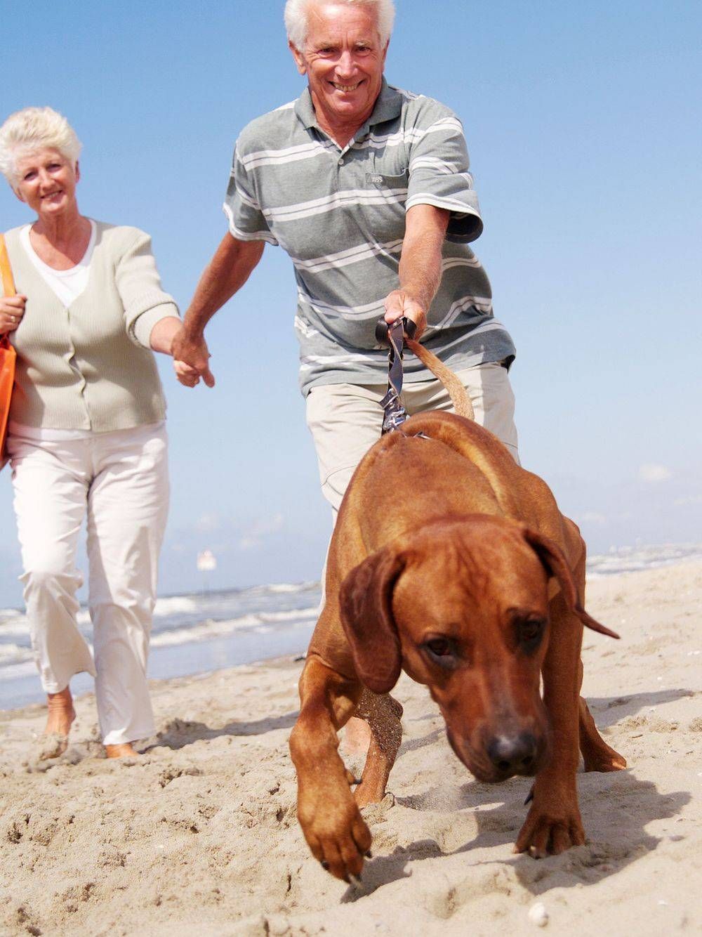 Medicare Supplements in Murrells Inlet, SC