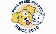 legit breeder Dogs for sale - Pure Breeds Puppies Available