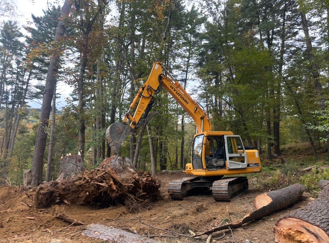 Yellow excavator moving logs and brush in a forest clearing