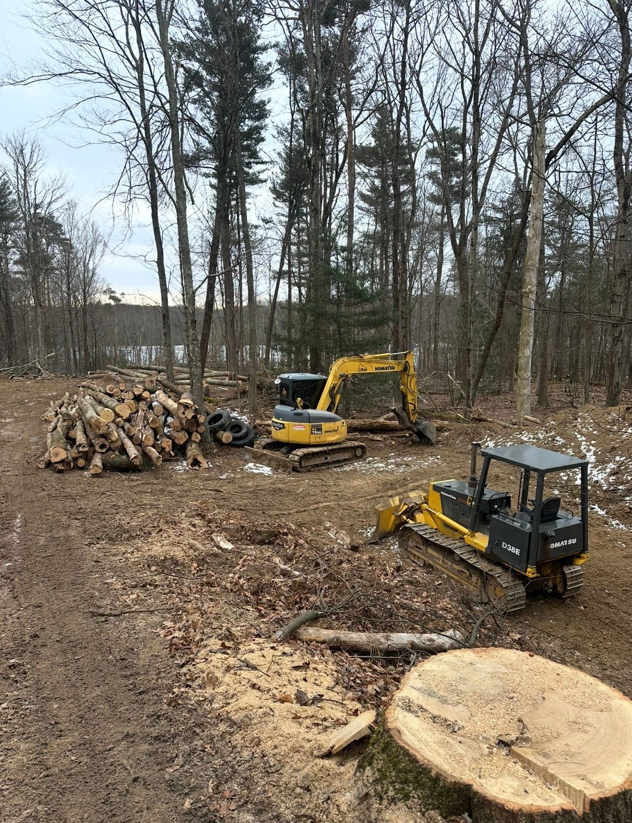Yellow excavator and skid steer in a wooded logging area with stacks of cut logs and a tree stump.
