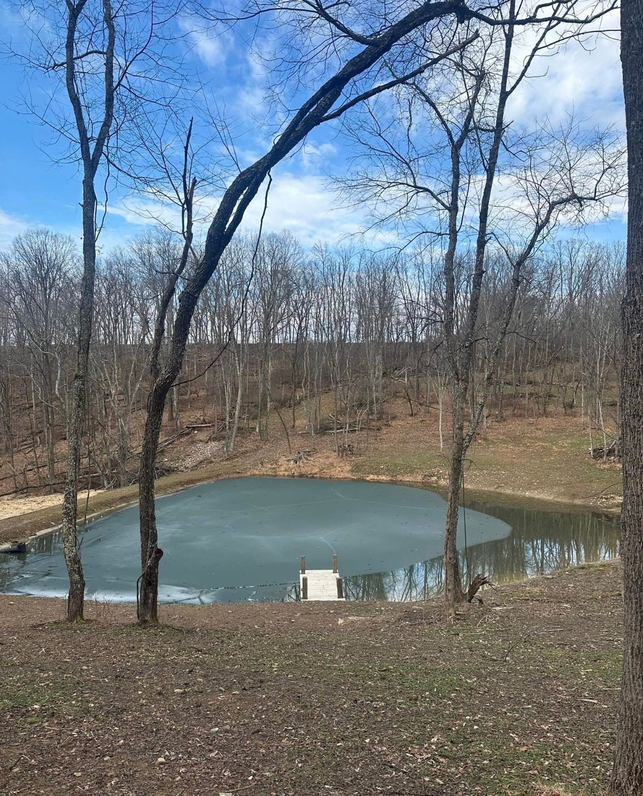 Small frozen pond in a leafless wooded area under a blue sky.