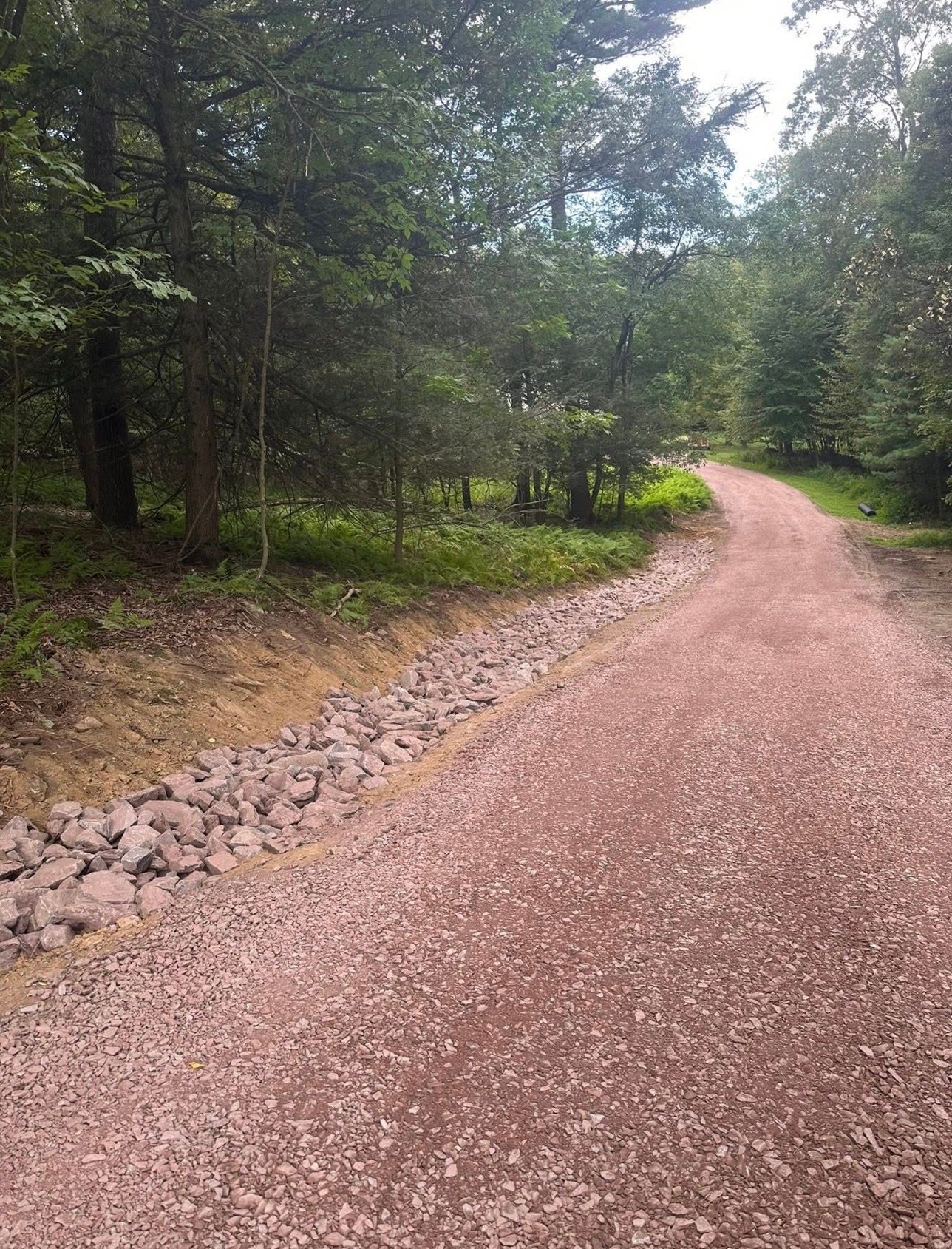 Gravel path winding through a wooded area with trees and greenery on both sides