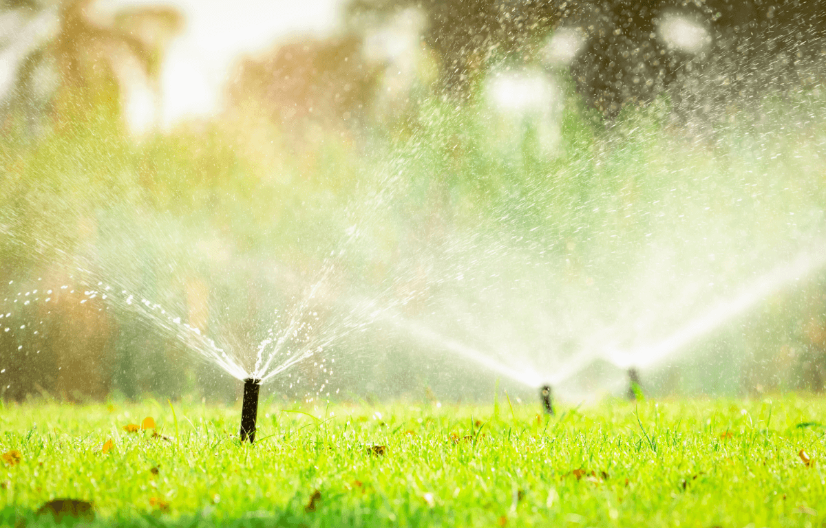 A picture of a sprinkler system watering grass in the desert