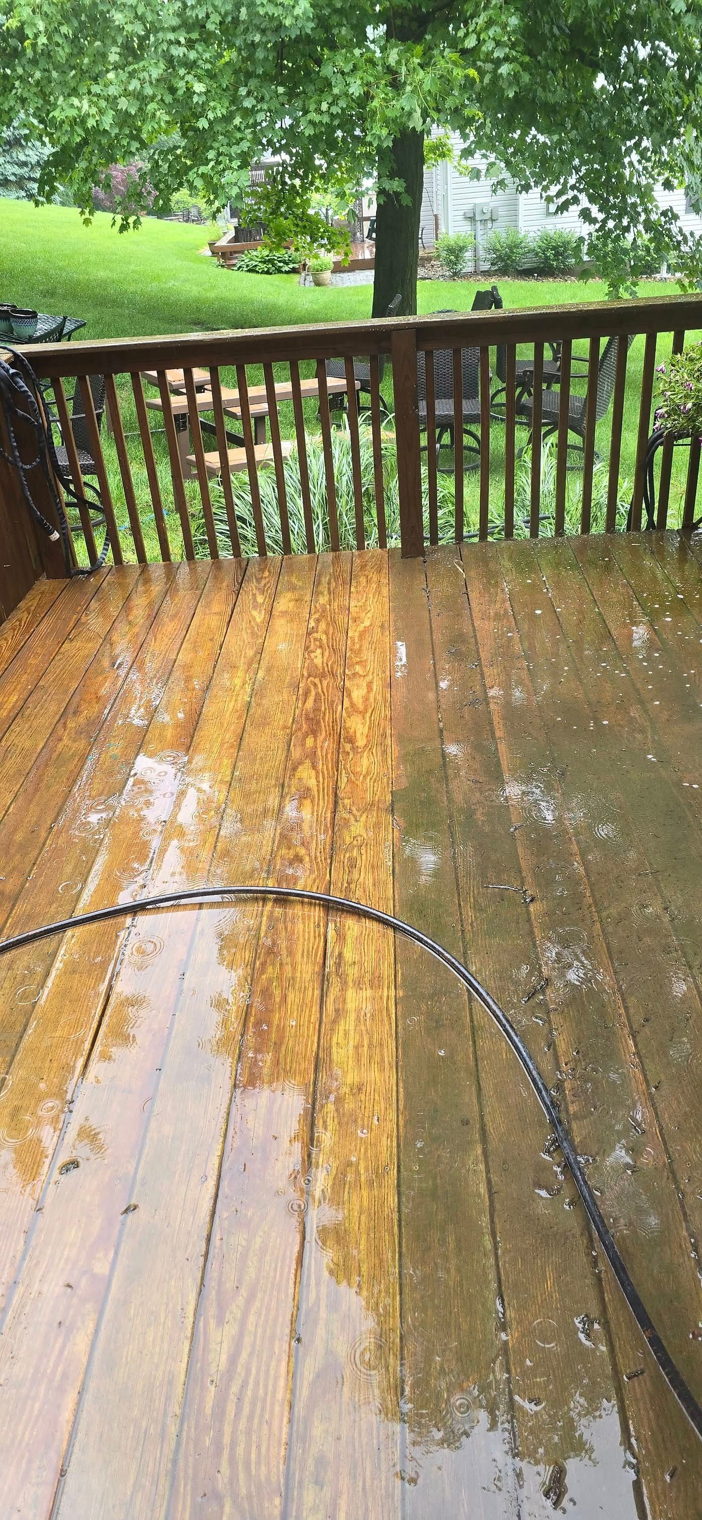 Rain-soaked wooden deck with a black railing, overlooking a green yard and trees